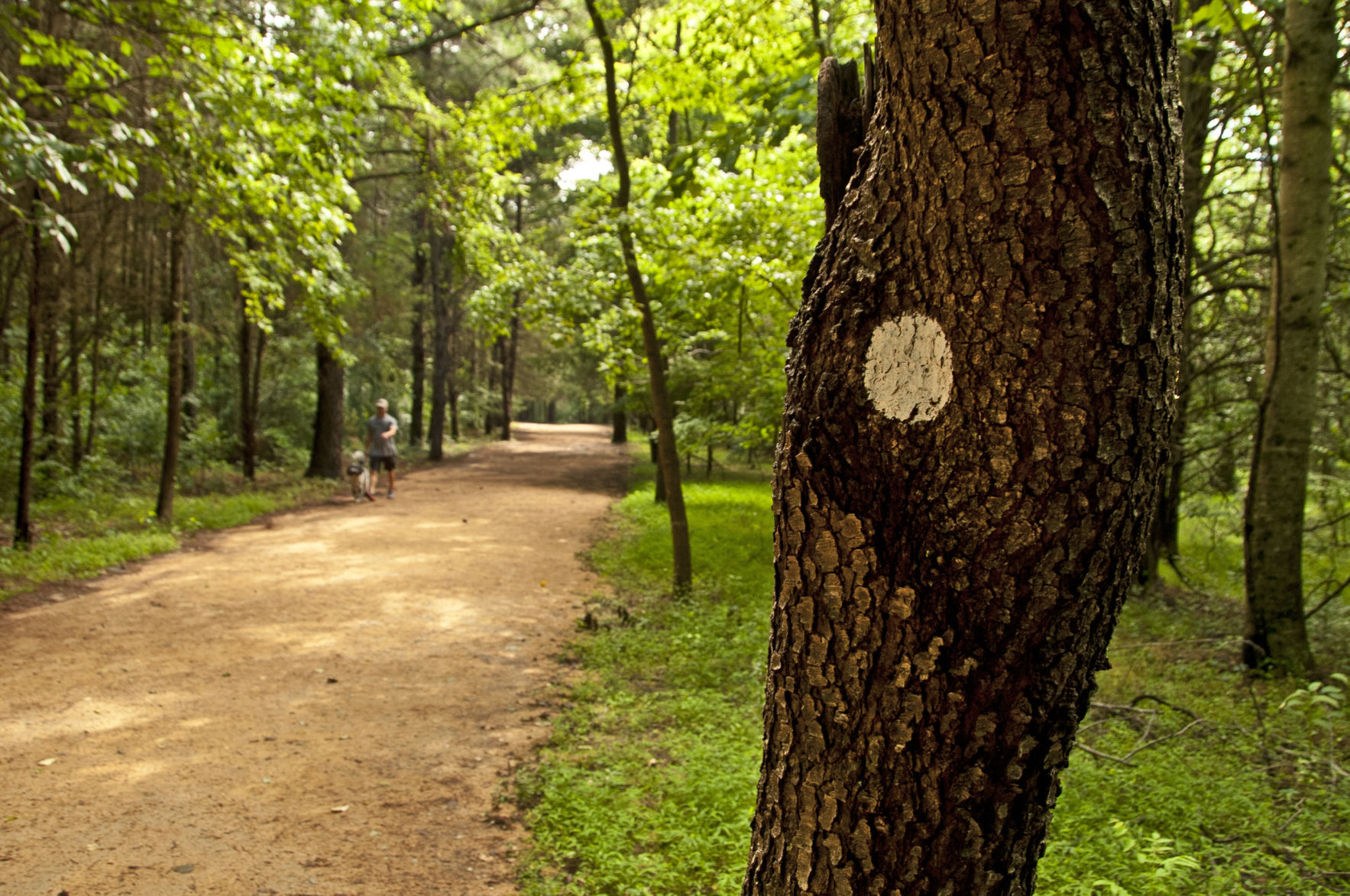 Historic Occoneechee Speedway Trail